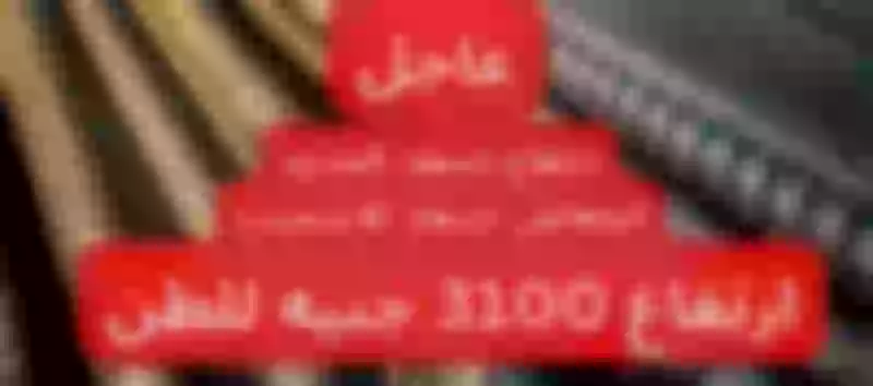 ارتفاع 3100 جنيه مره واحده!!.. قفرة كبيرة في سعر الحديد اليوم الأحد 13-10-2024.. تراجع أسعار الأسمنت؟