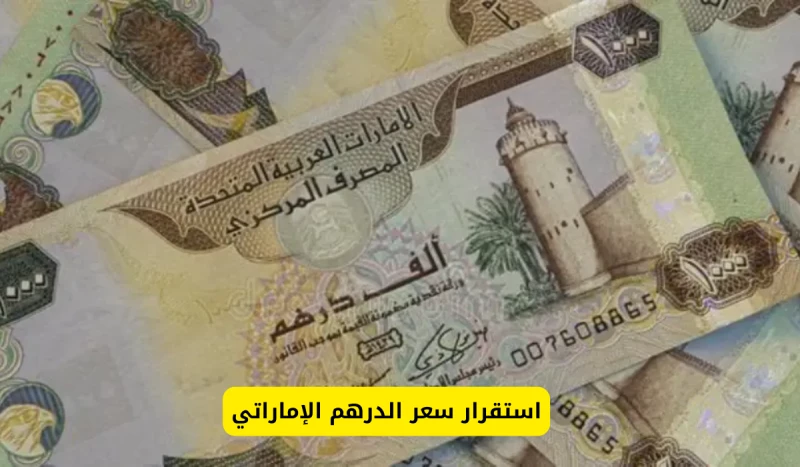 تعرف على سعر الدرهم الإماراتي مقابل الجنيه المصري اليوم